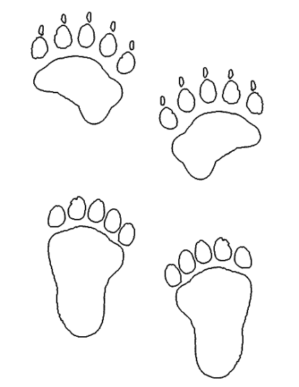 Bear paw footprints
